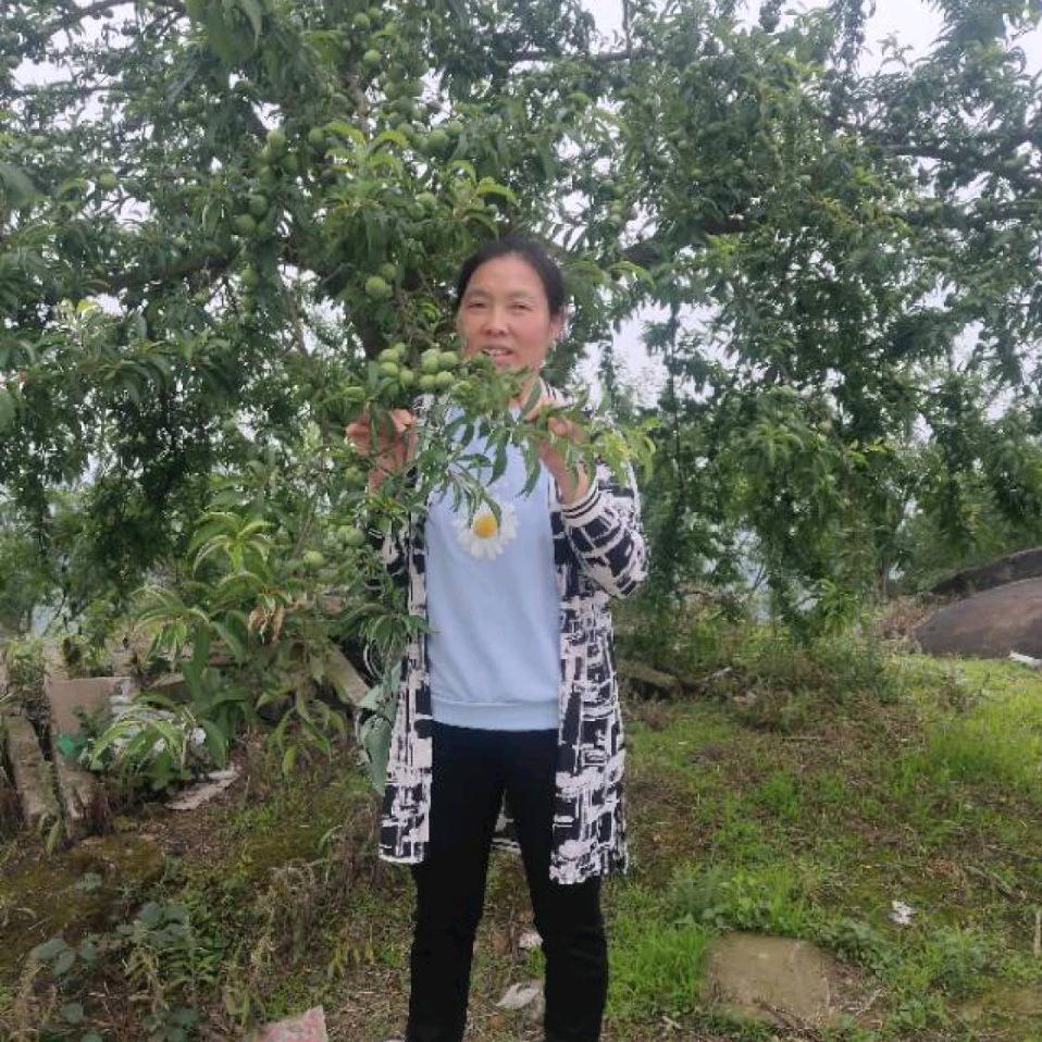 邻水县金诺地产刘姐