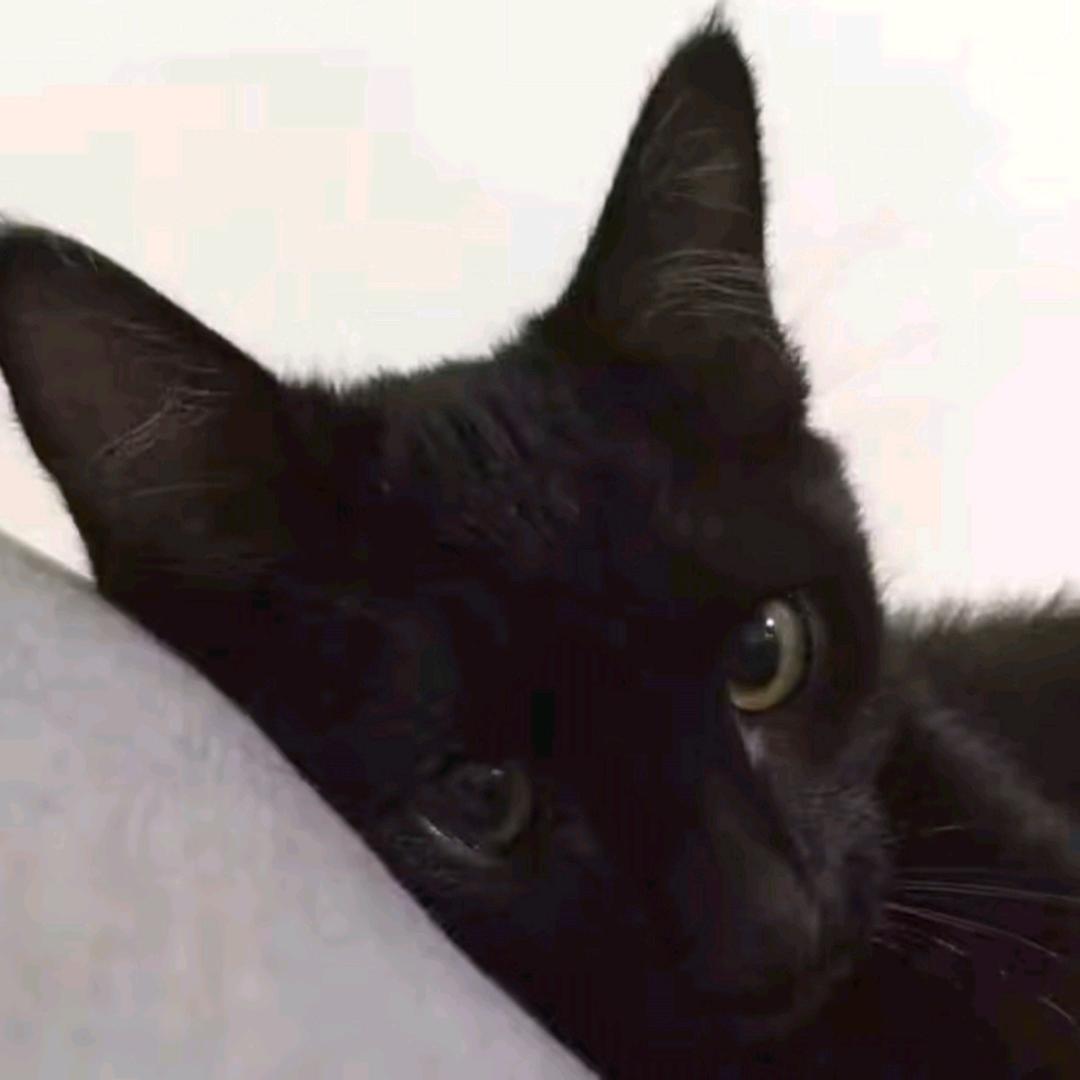 长情
