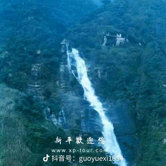 🌹🌹杨二🍶