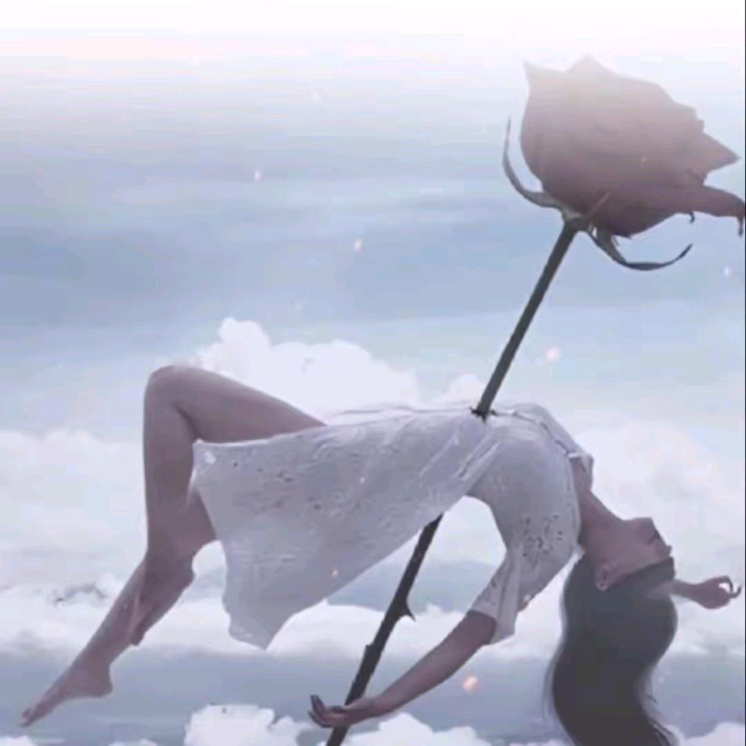 离异❤️❤️单身