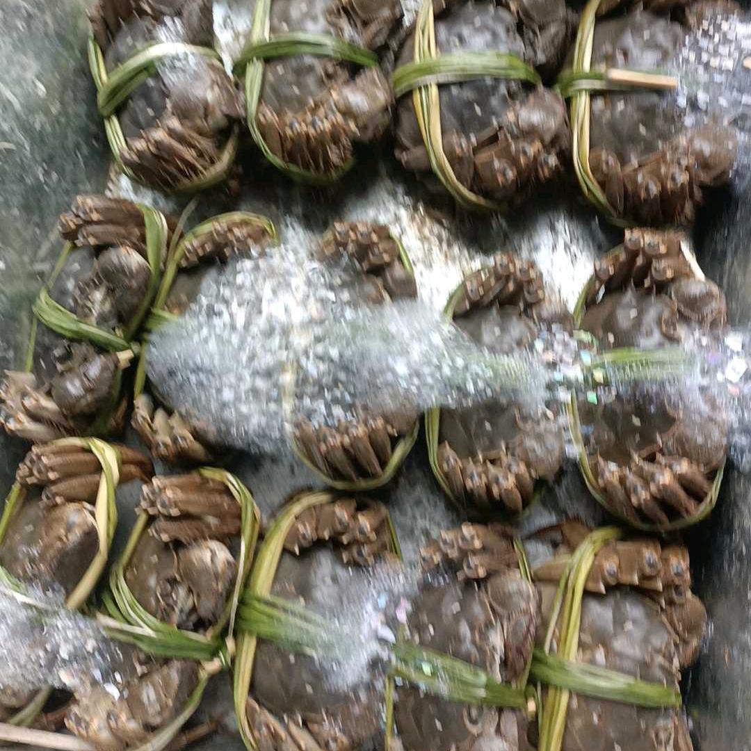 幸福就问有没有认错人☺️（大闸蟹版）