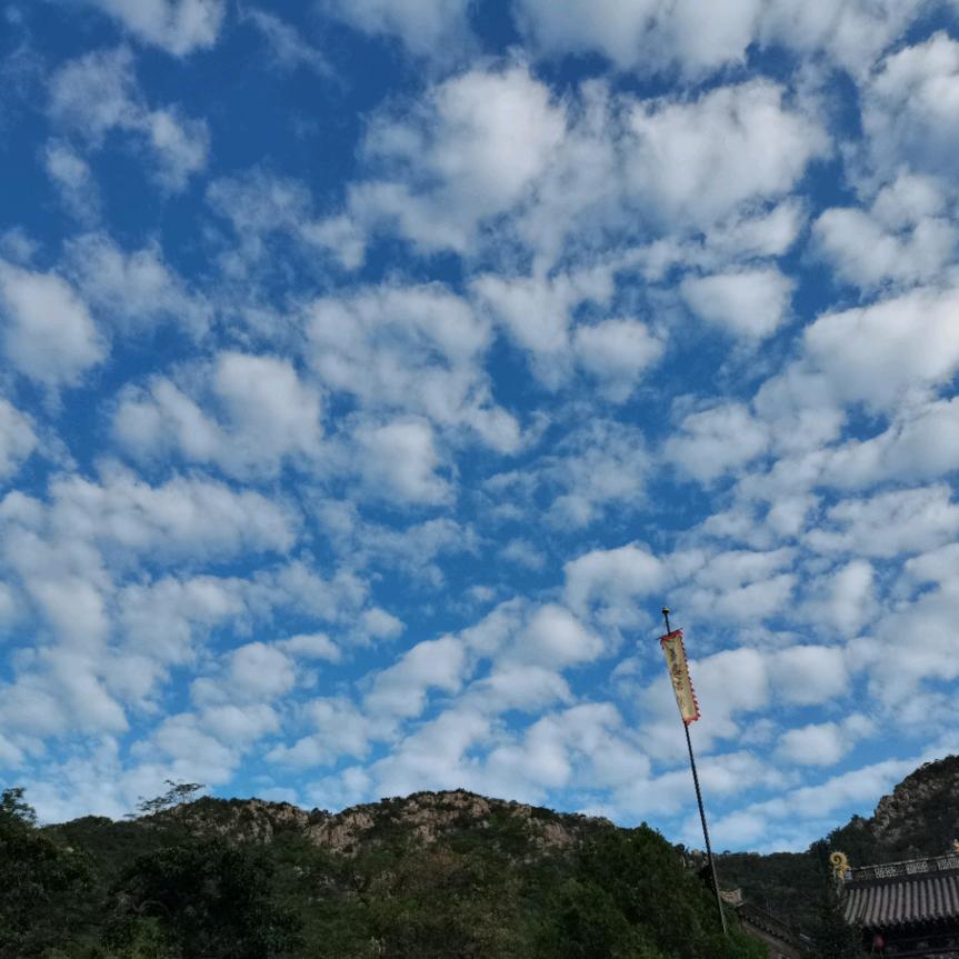 🍀🍀期待明天🍀🍀