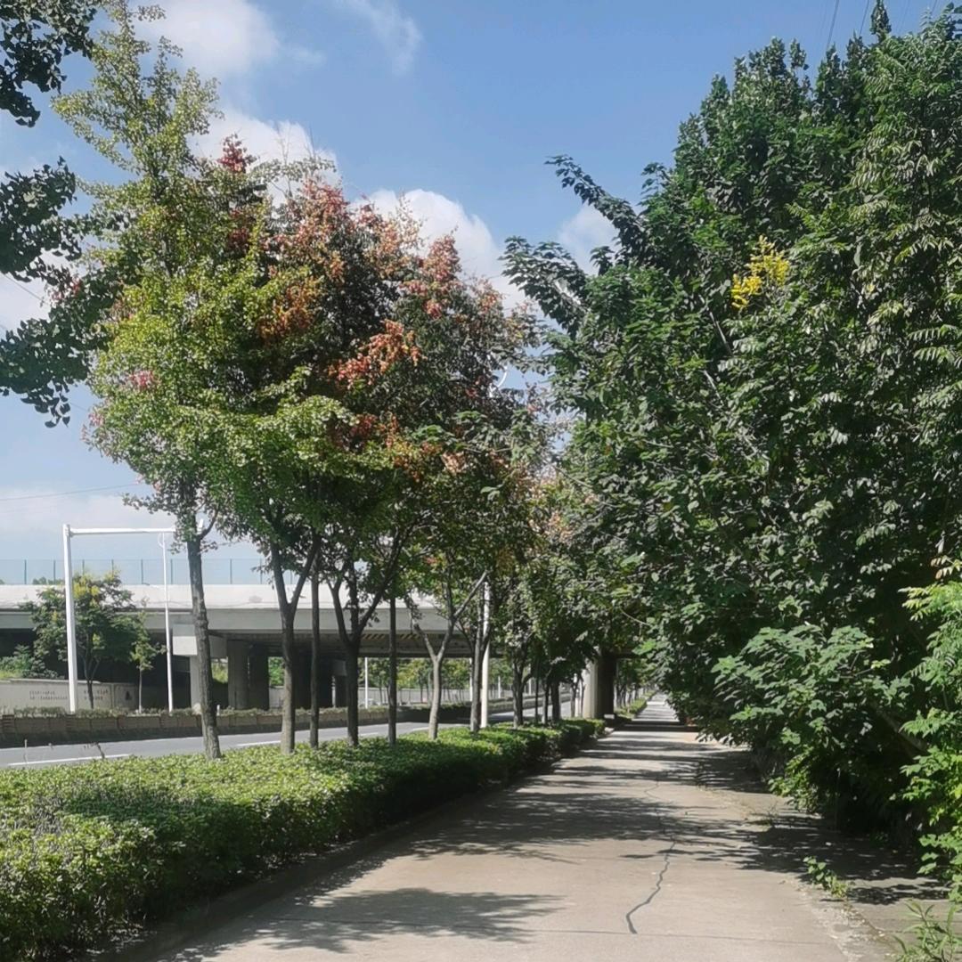 幕墙设计安装
