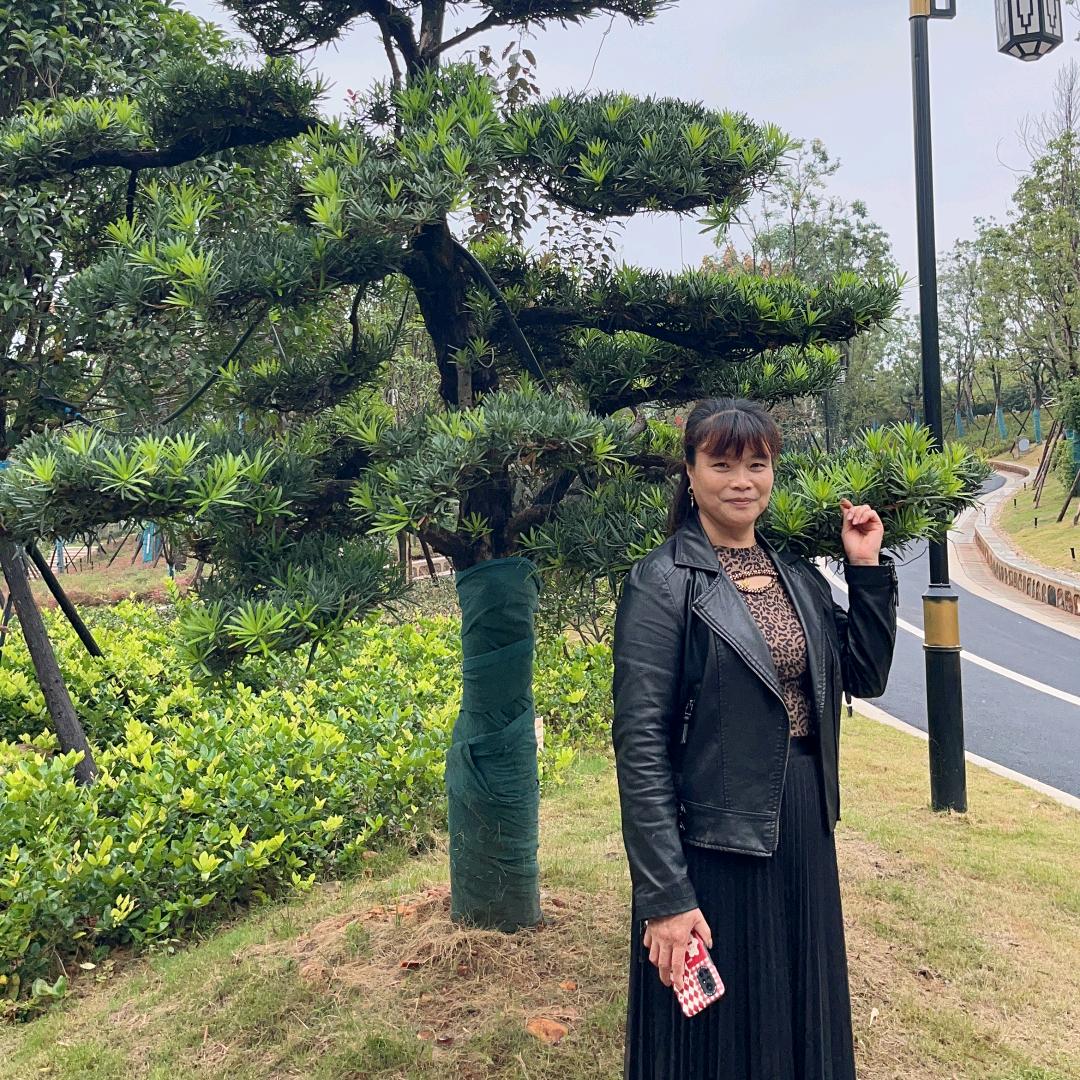 平淡才是真。