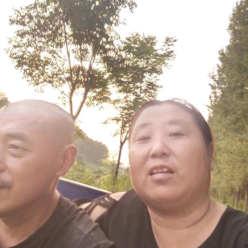 再也回不到从前了