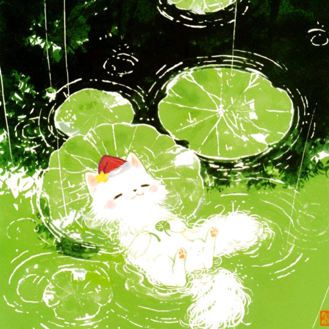 木叶🍃