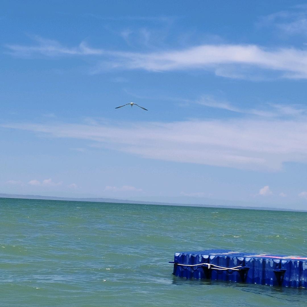 雾里看海