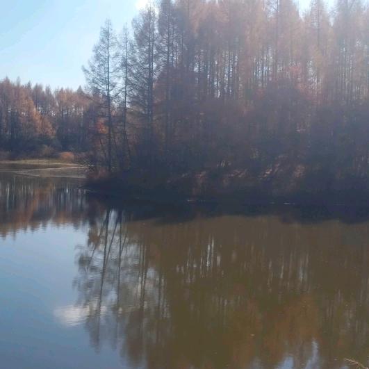 💰张胖不胖了💰