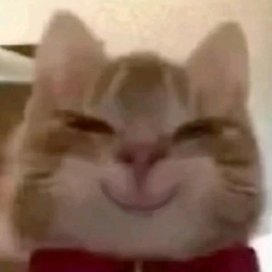 牢良