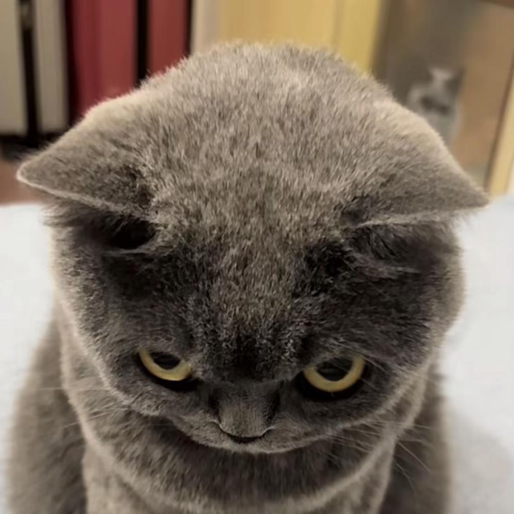 卖导弹的小男孩