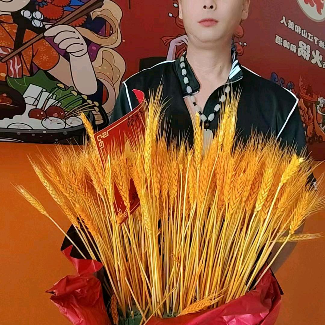 从头再来'