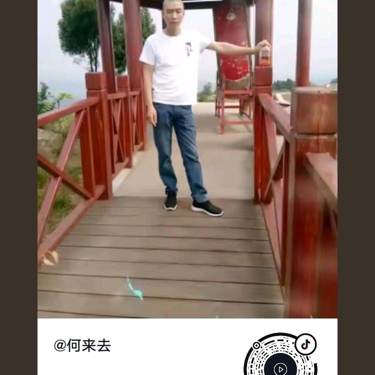 何来去