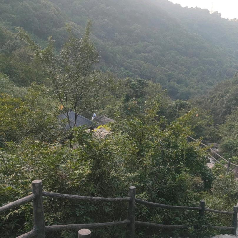 一帘幽梦এ᭄ꦿ❤️ོ࿐ᩚ