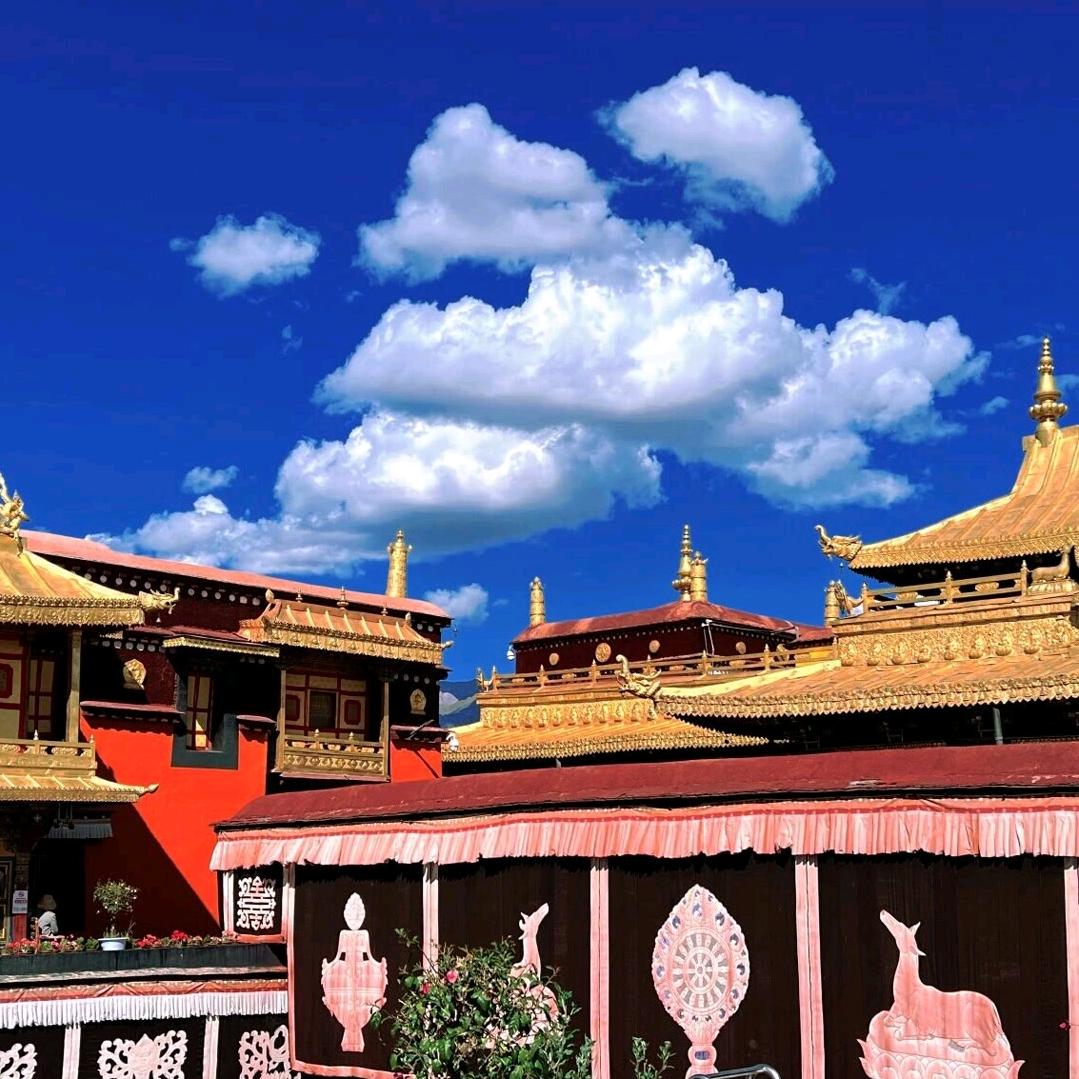 西藏旅视发布