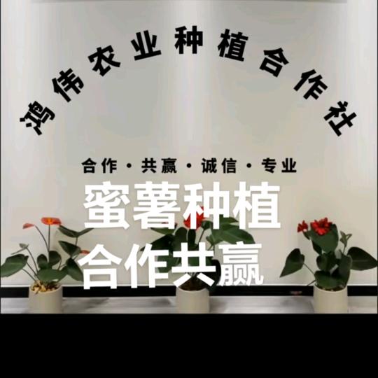 鸿伟农业