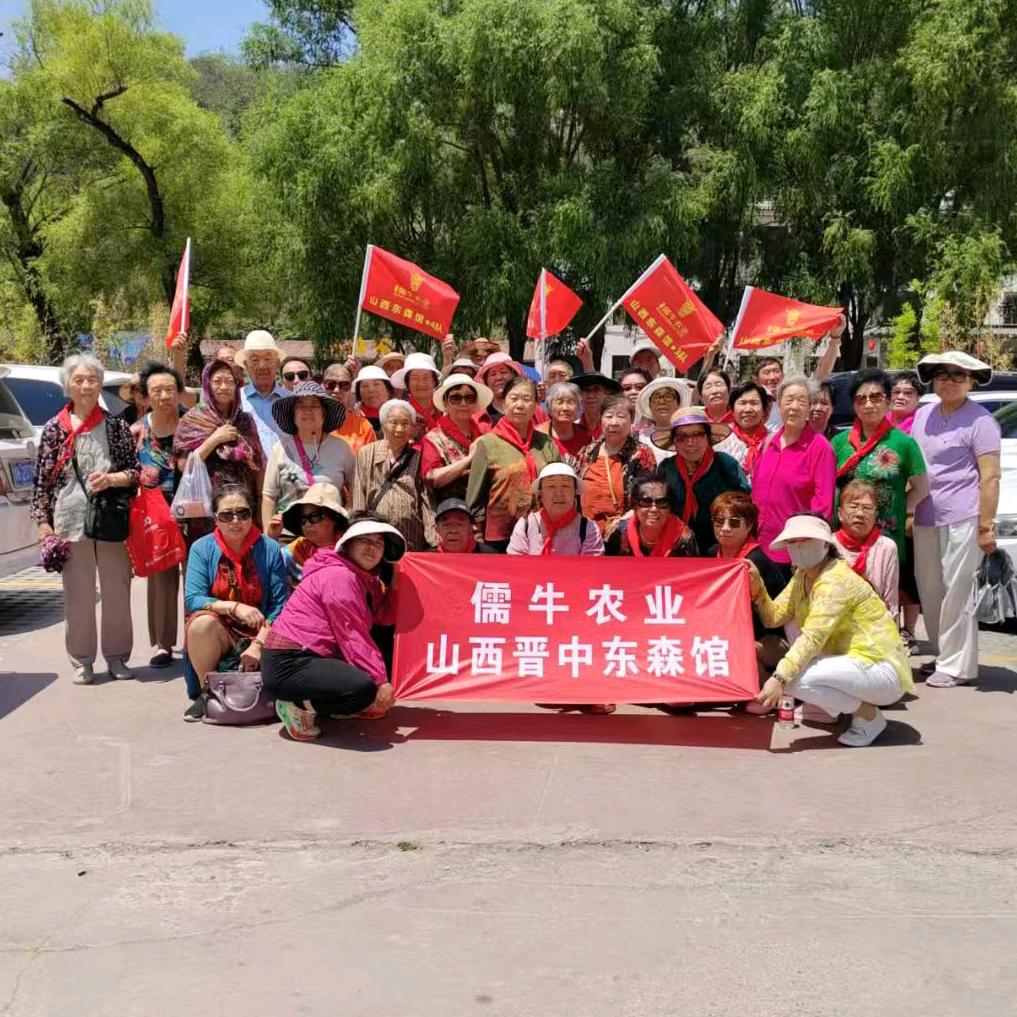 白丽丽