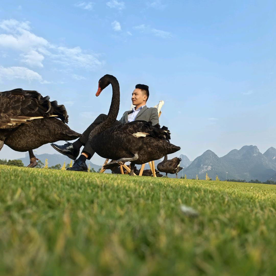 董总讲一线实战销售（15年的销冠经验）