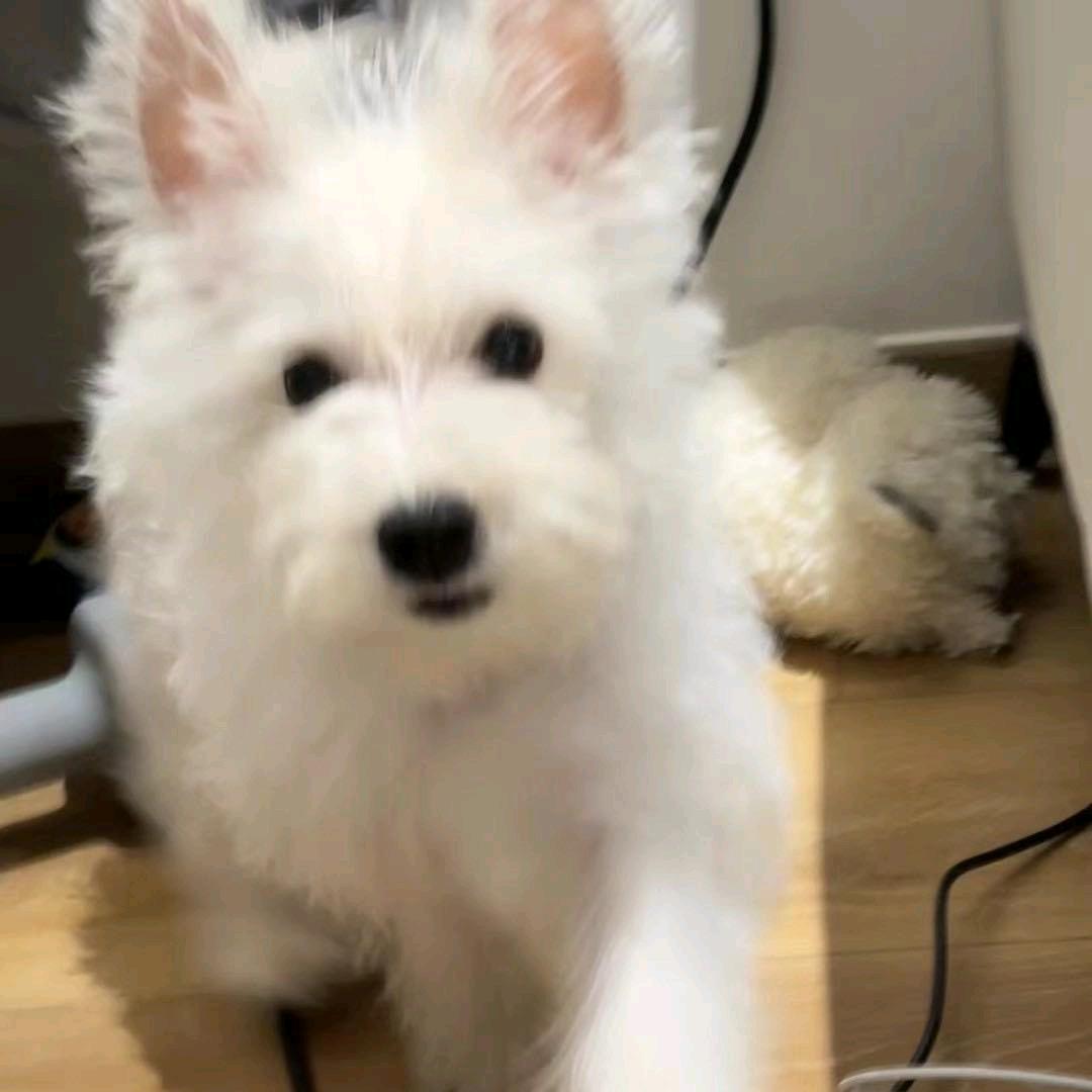 奕周的周边铺