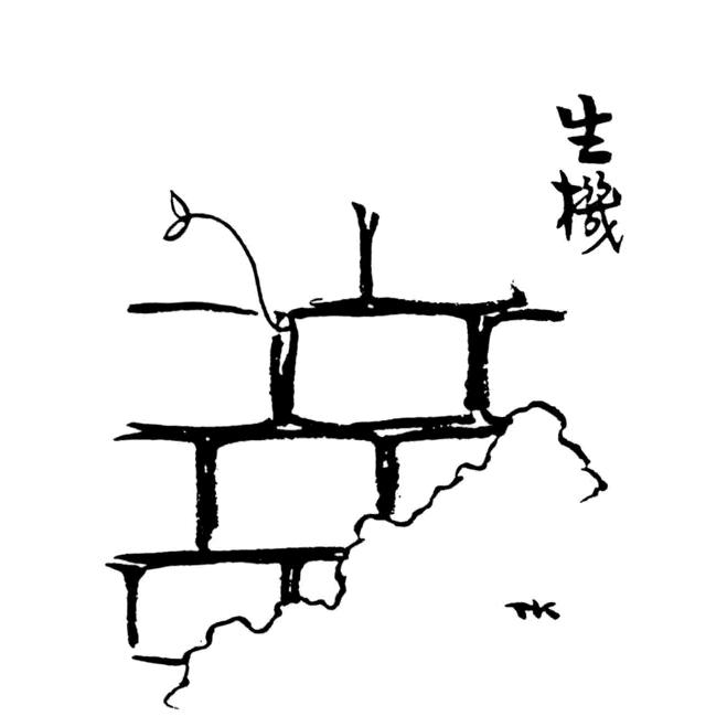 打个酱油