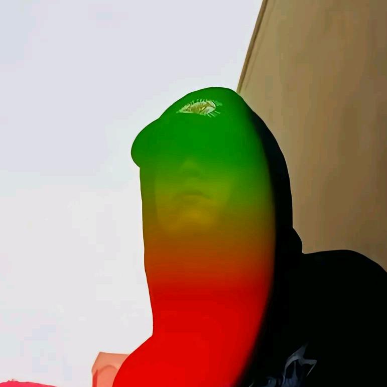 鱼逝.