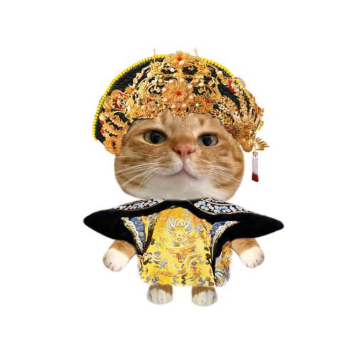 ·     我們