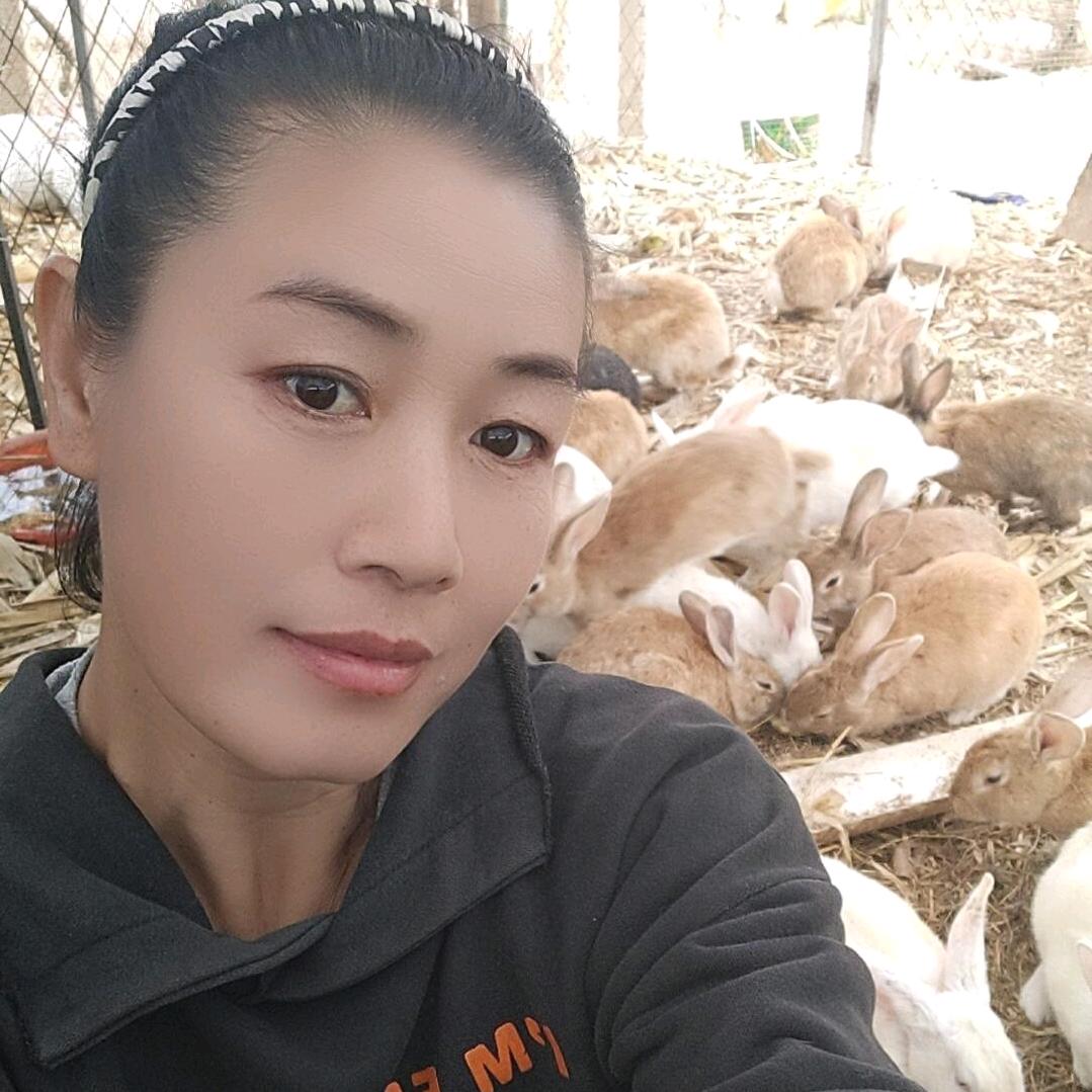 养兔人渤姐