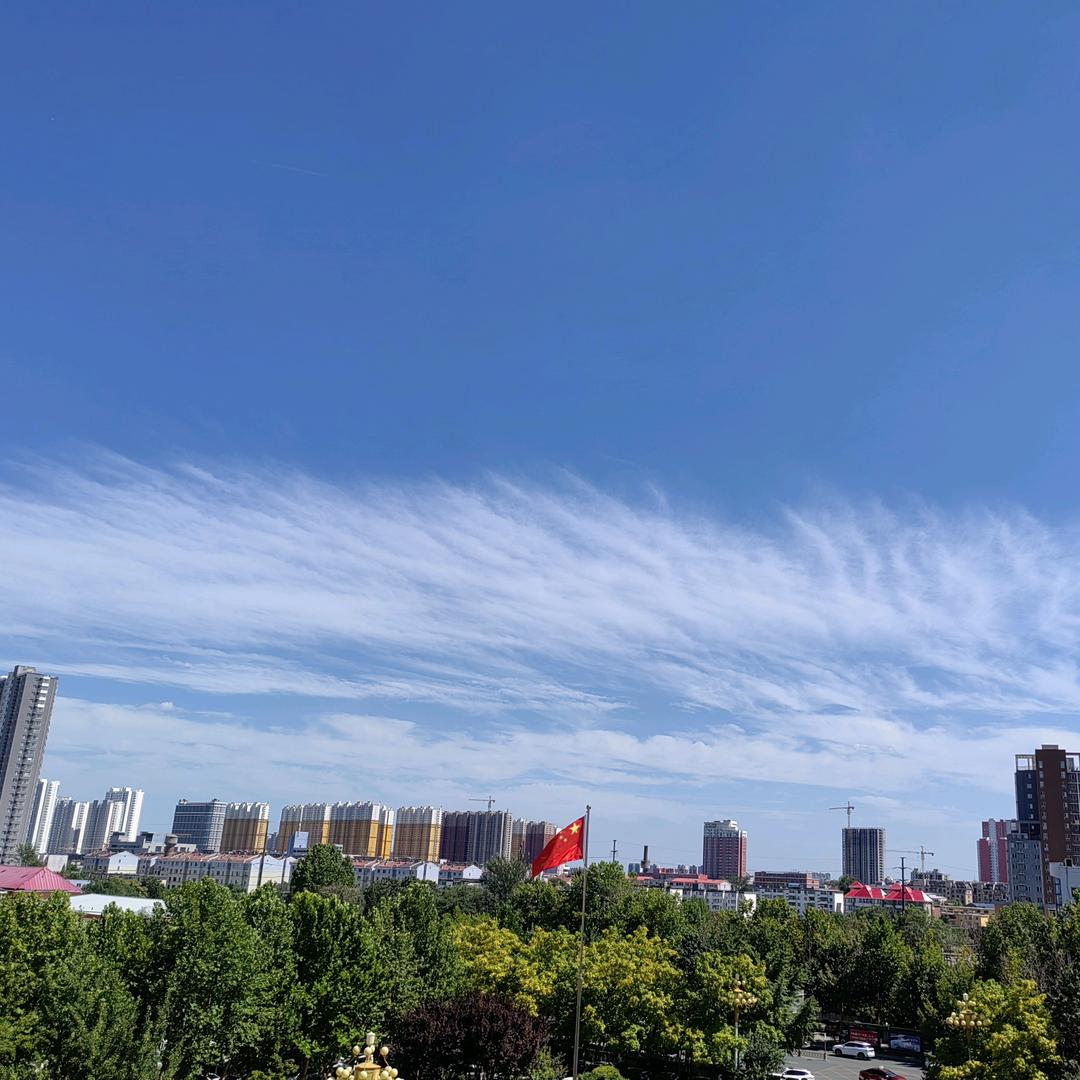 小小的一颗菜