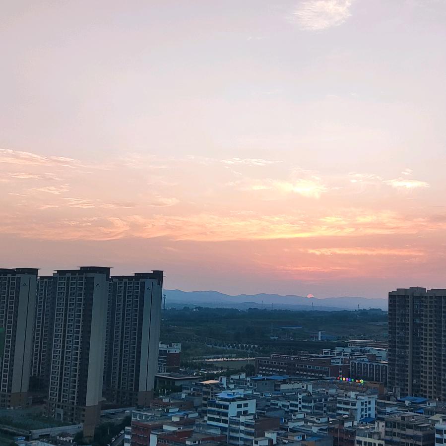 随运而安