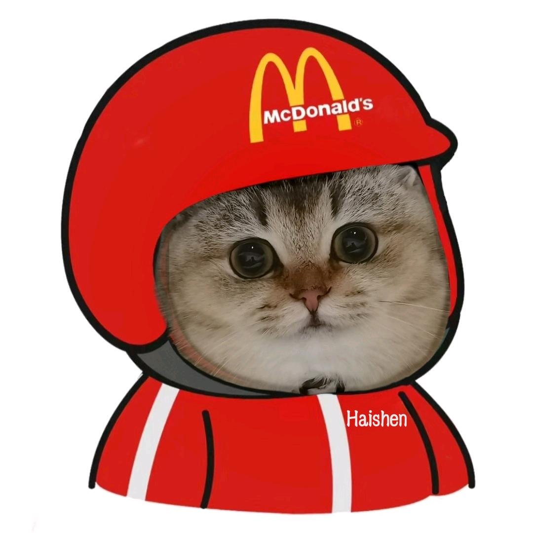 电灯猫✨