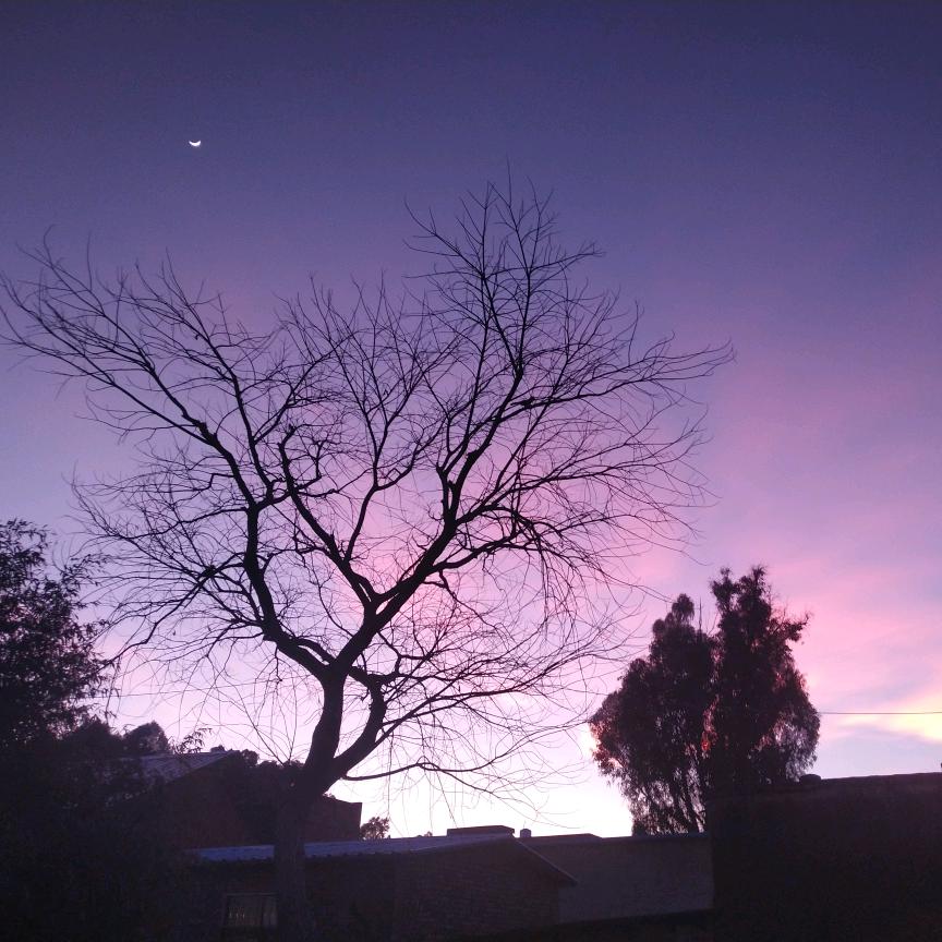 多希望有轮明月