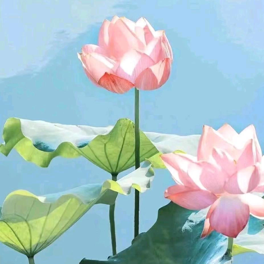 人生如梦 开心快乐每一天
