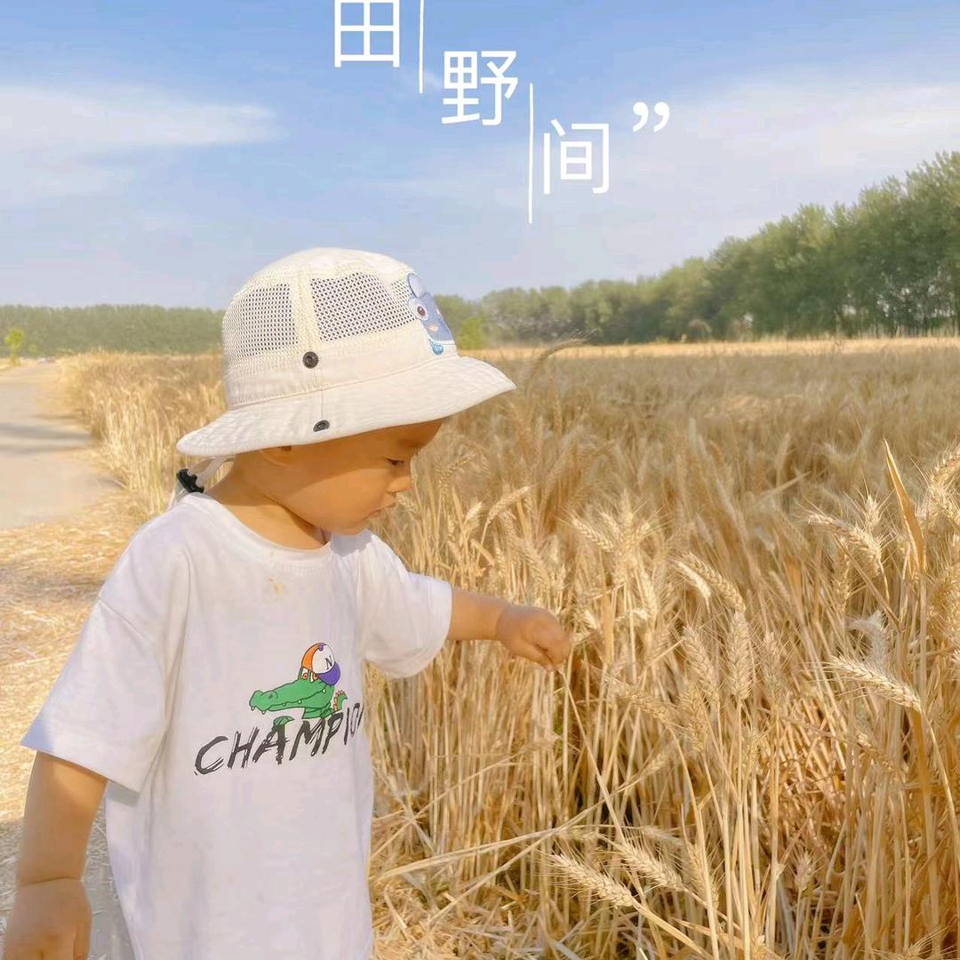 橙子甜甜