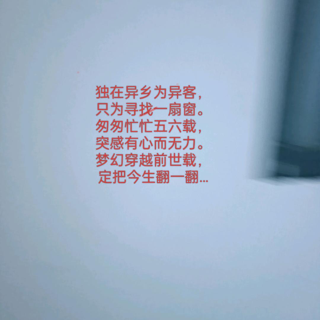 鑫尚阿玲