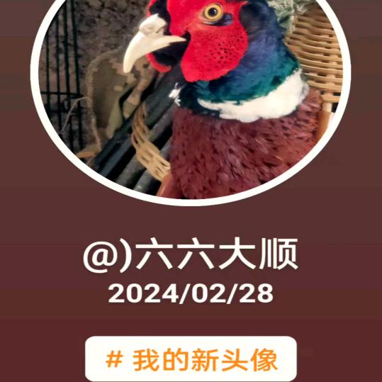 钩600