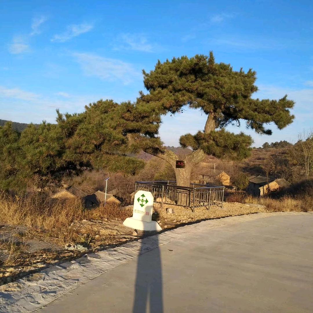 快乐每一天
