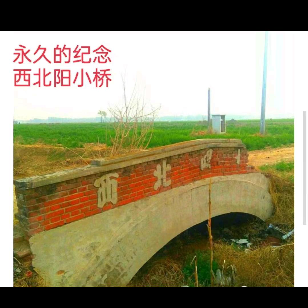 圣君