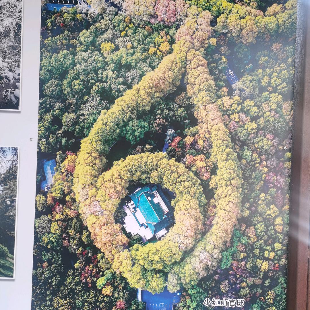 八方来财