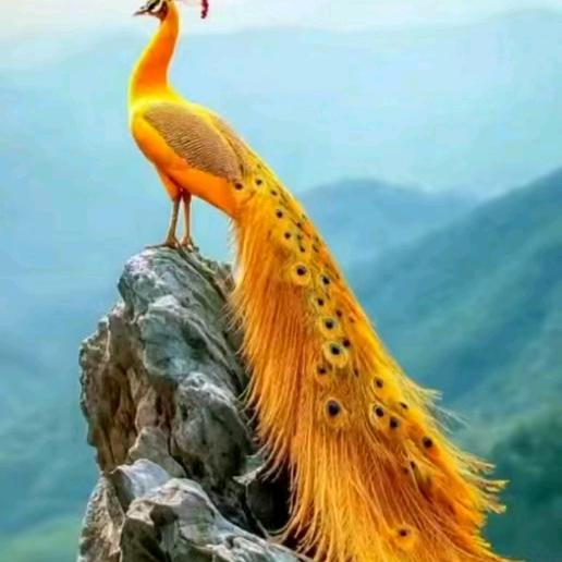 让心归零忘掉过去