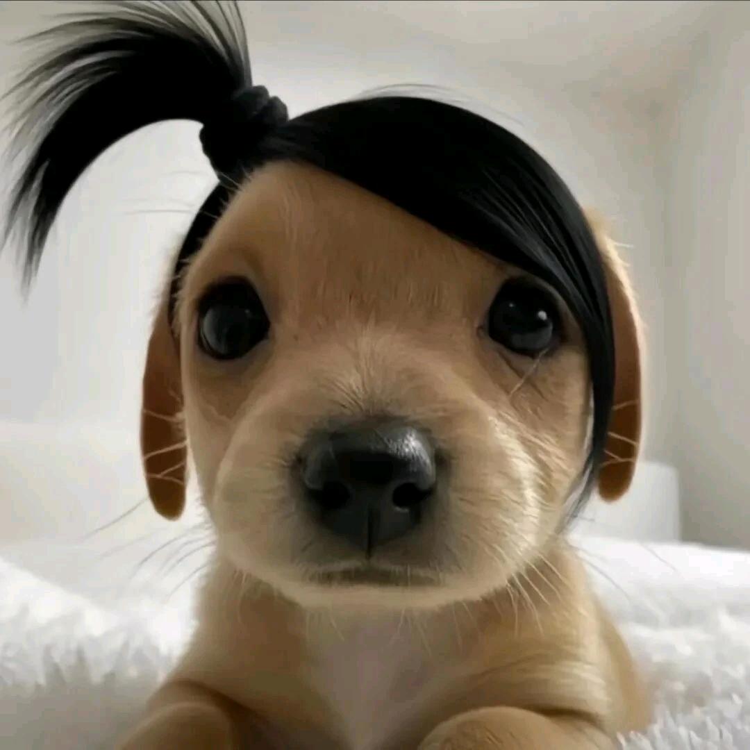 烈火吗喽