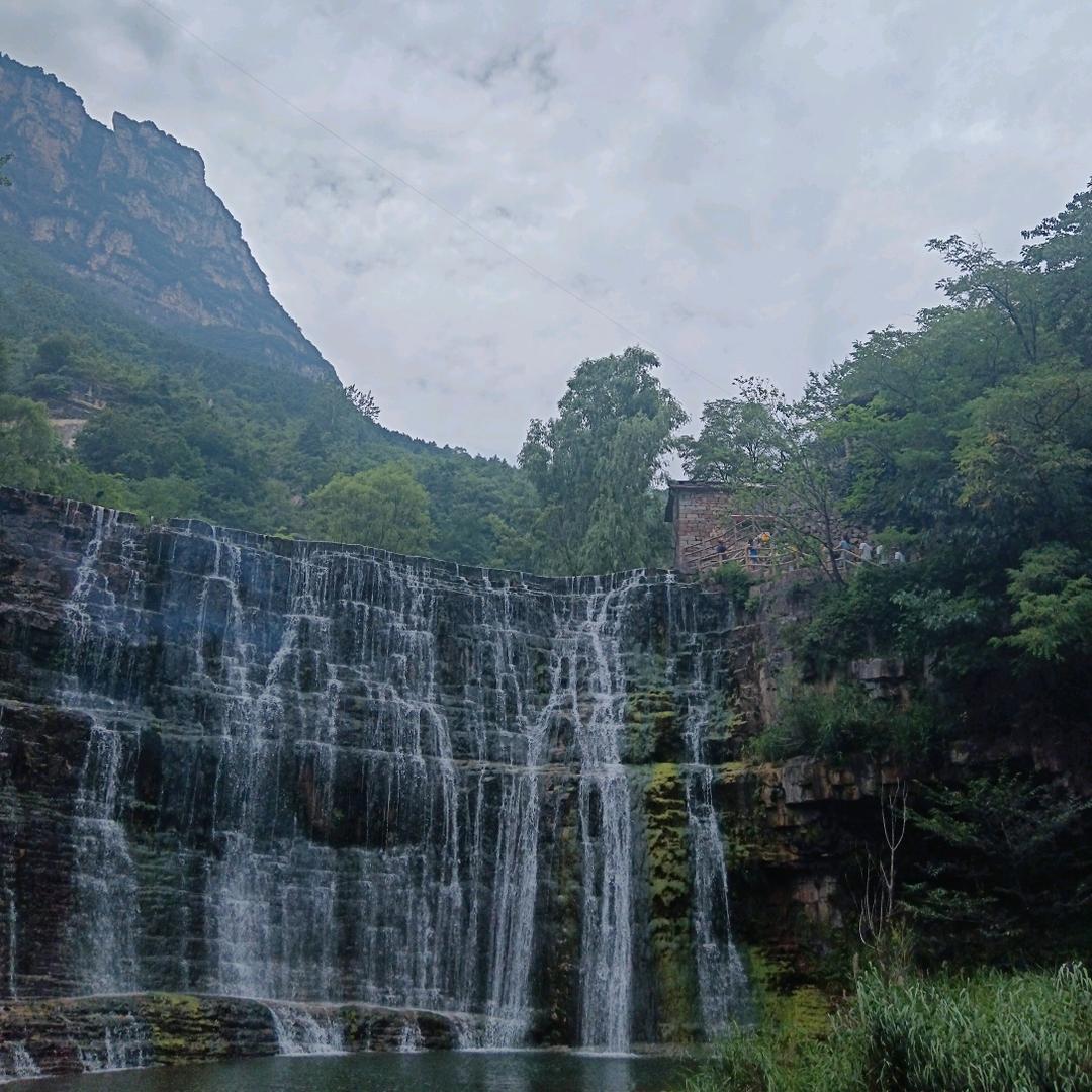 李涛