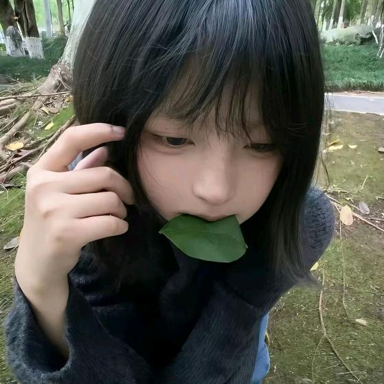檀江楚