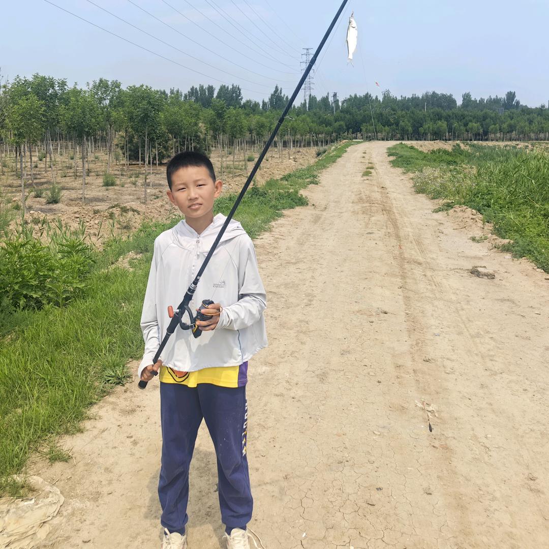 老齐小齐爱抓鱼