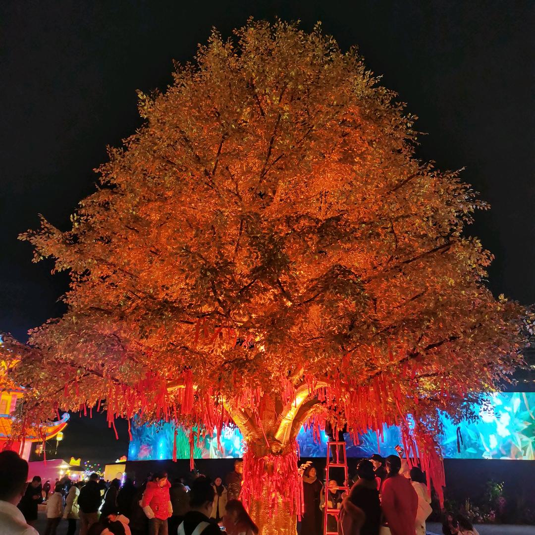 高高兴兴过好每一天