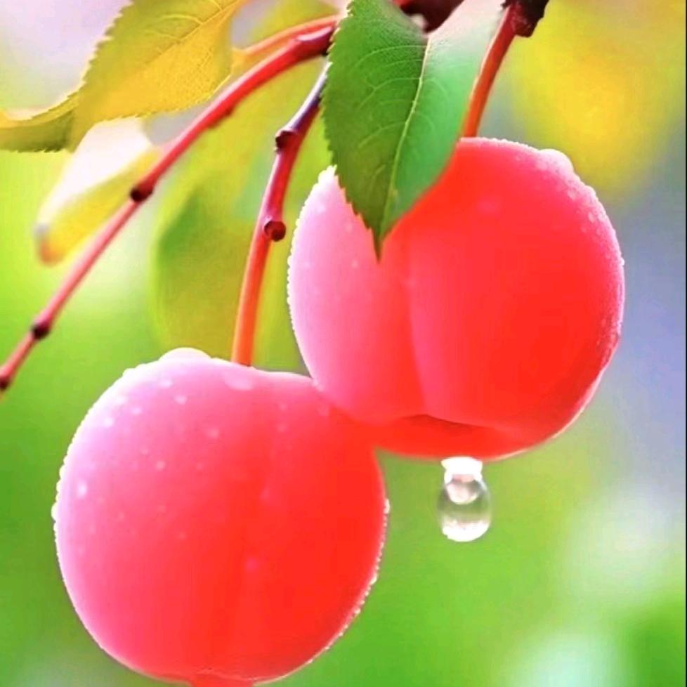 @霍邱美味健康烧饼