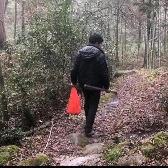 思乡人（林林）