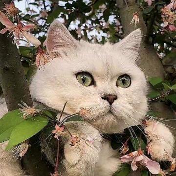 x熊熊.