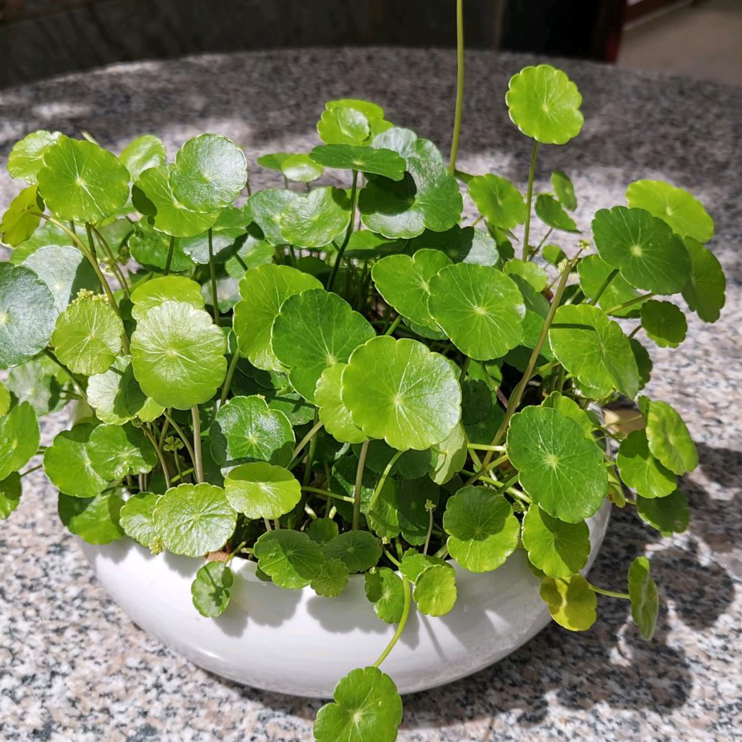泓源-学能好物