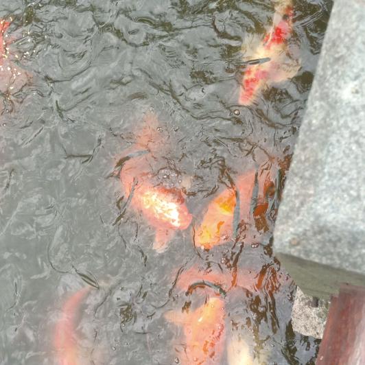 我是专业搬砖人