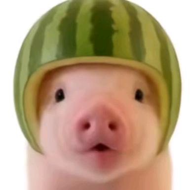 夜的第七章.（接🔮）