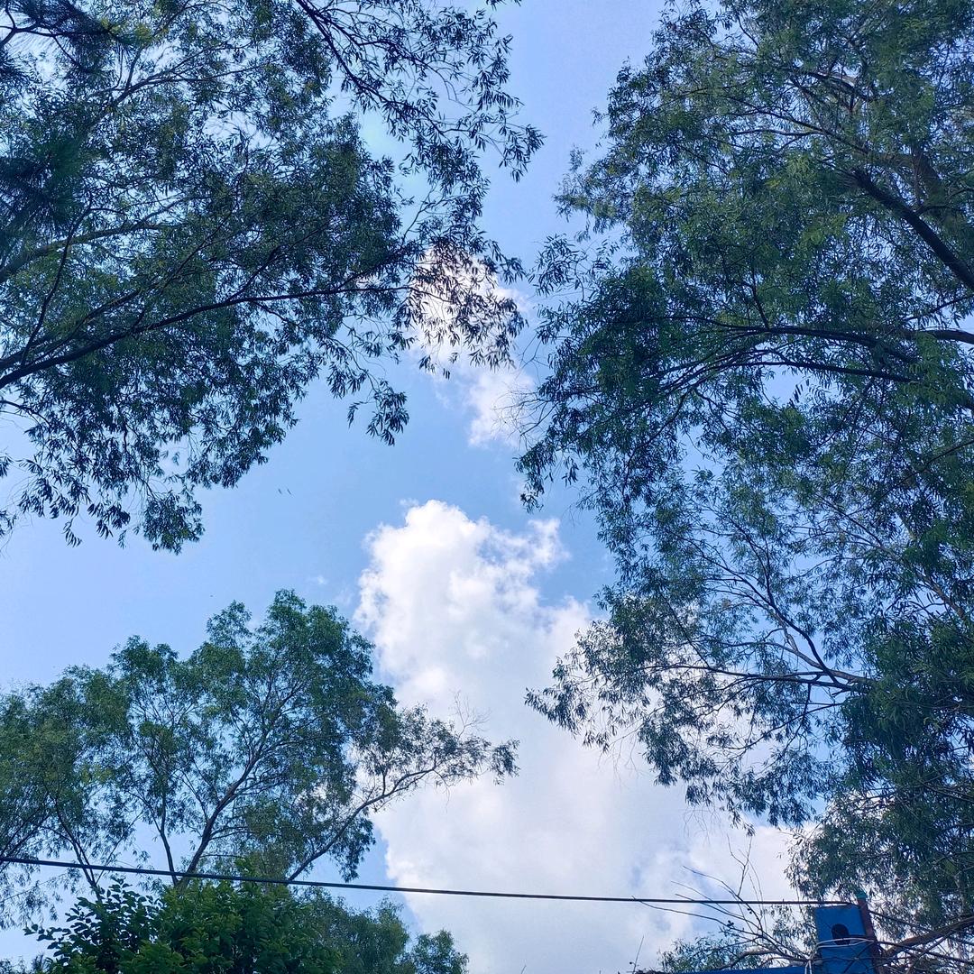 雯雯